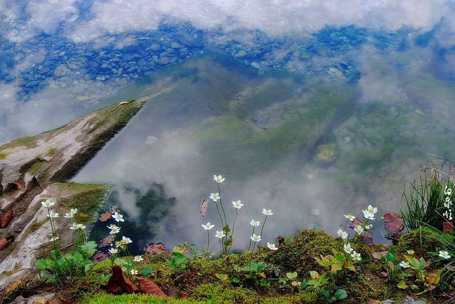 DSCF1695-1.jpg
