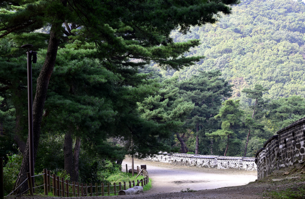풍경갤러리 - 남한산성 숲길입니다.