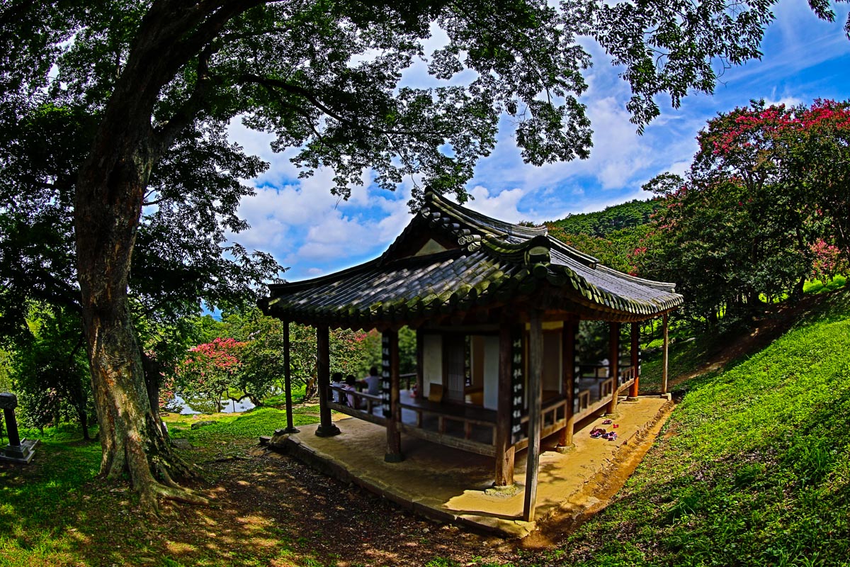 풍경갤러리 - 명옥헌