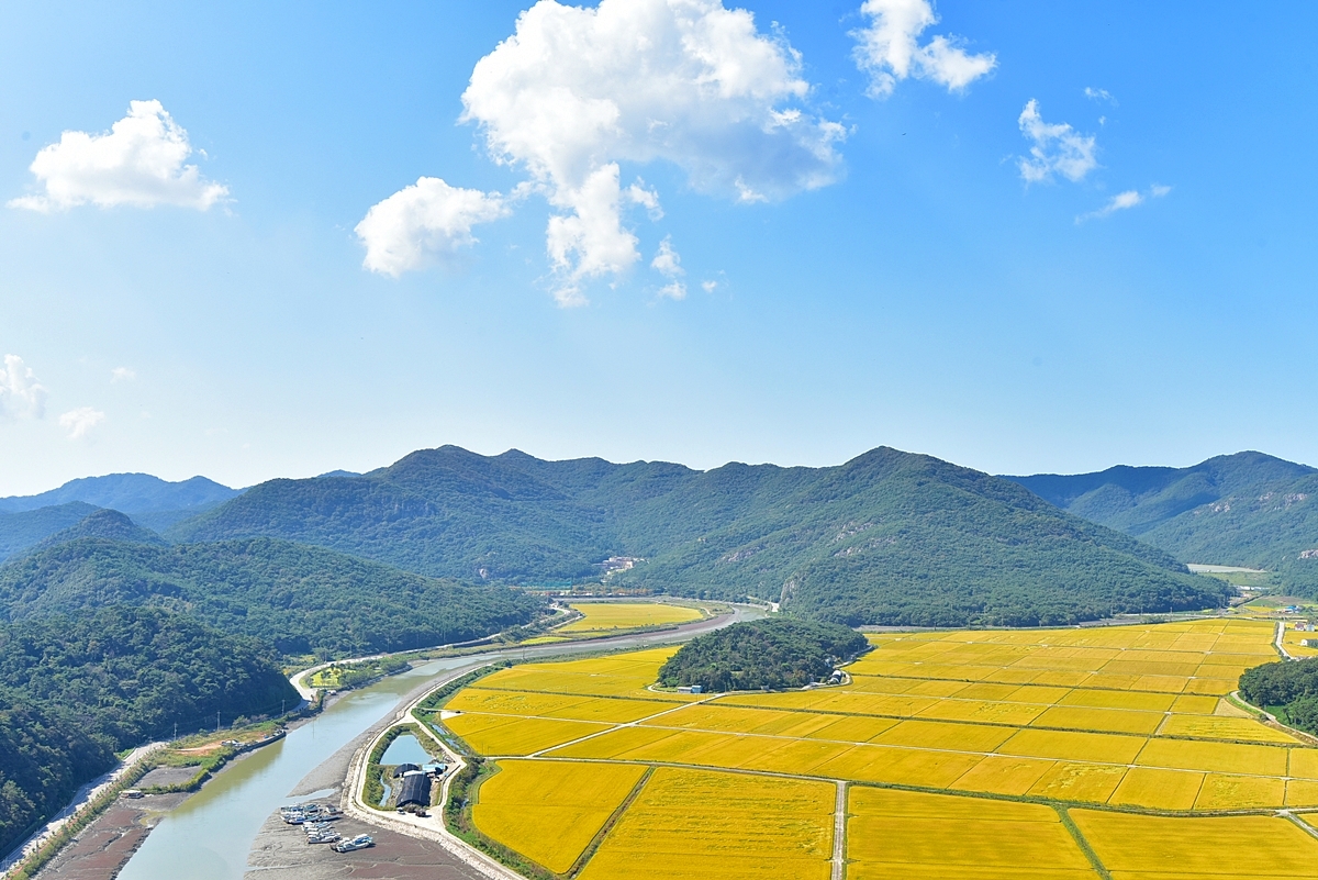 풍경갤러리 - 영광 법성포물도리