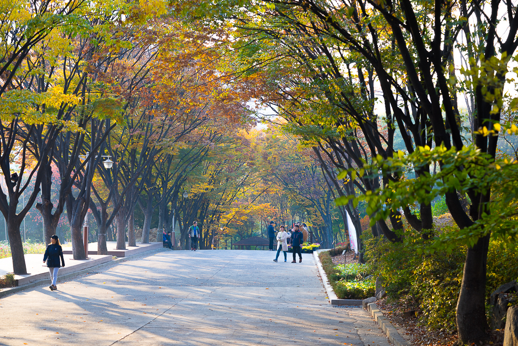 풍경갤러리 - 만추