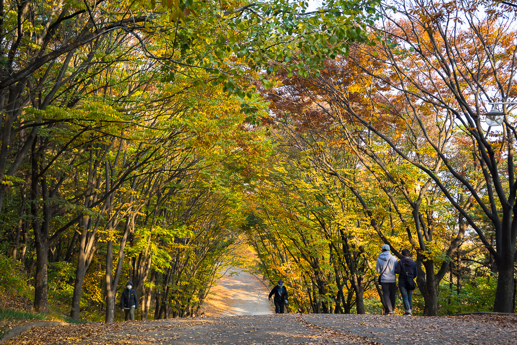 풍경갤러리 - 만추