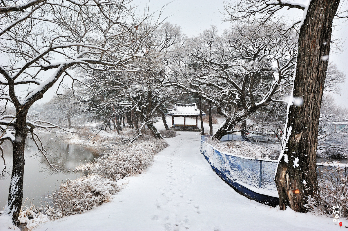 풍경갤러리 - 눈 없는 지역분들만 보세요.