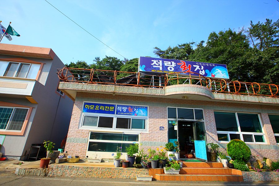 자유게시판 - 맛집소개.....하모(참장어) 전문점 적량횟집