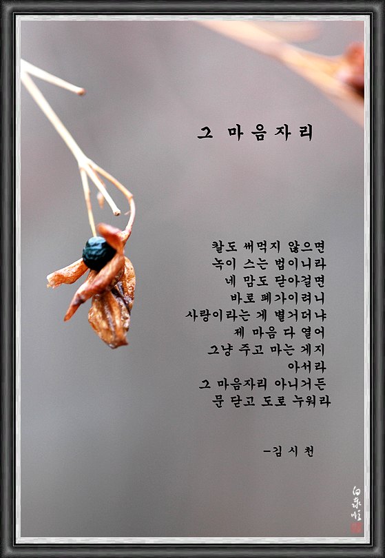 삶의향기 - 그 마음자리 -김서천 詩