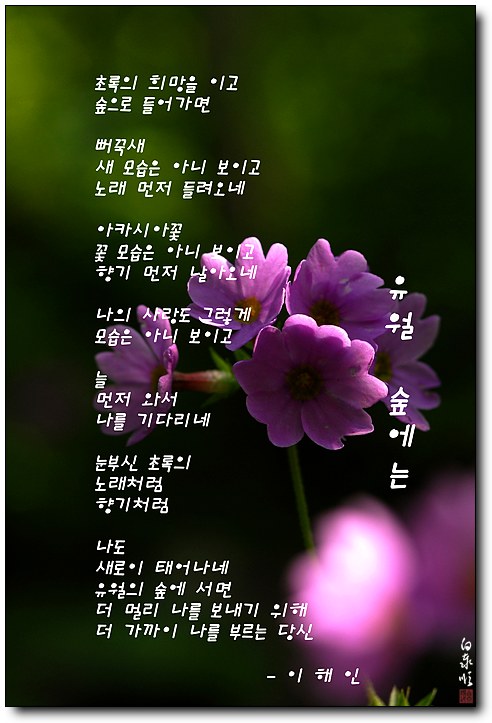 삶의향기 - 유월 숲에는 -이해인 詩