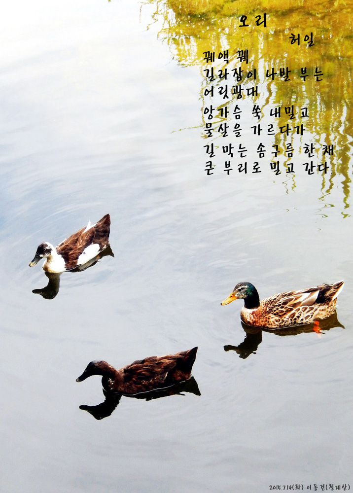삶의향기 - 오리