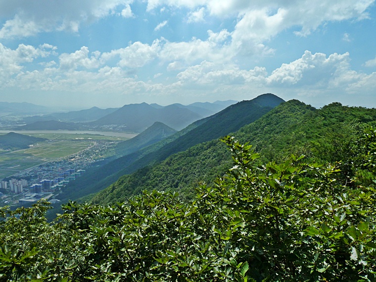 여행기 - 야생화산행(2) - 양산 오봉산에서 바라 본 낙동강과 야생화들