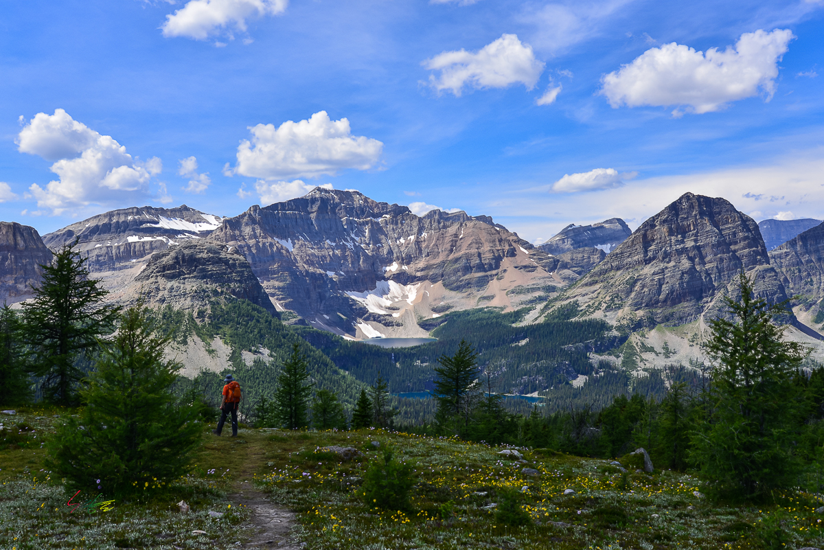 여행기 - 힐리 패스(Healy Pass Trail)